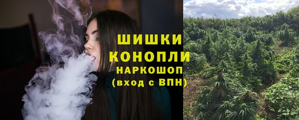 a pvp Алзамай